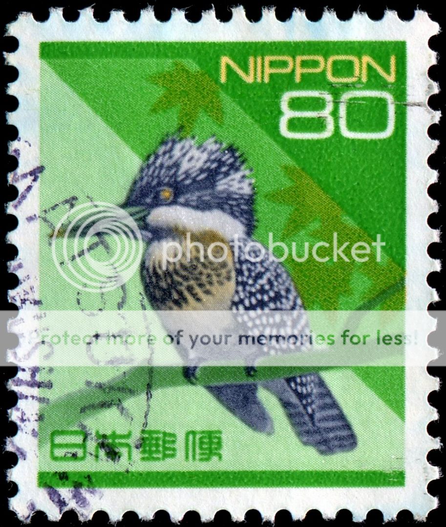 Birds Perched, Birds Flying, Birds aground Stamp Community Forum